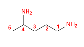molécule-06.png