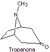 tropanona.png