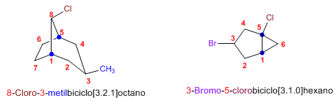 nomenclatura de biciclos