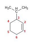 Molekül 04