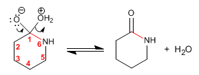 sintesis-lactamas