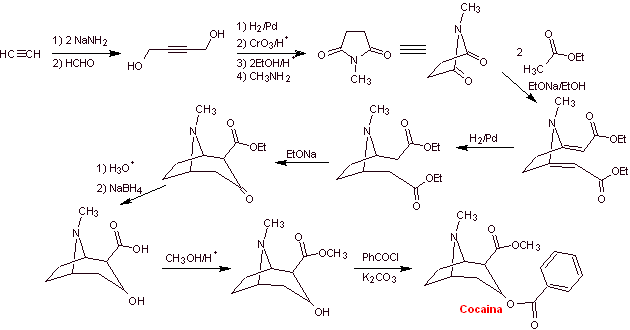 cocaine synthesis.png