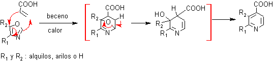 cicloadicin2.png