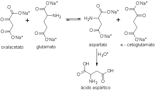 synthesis_of_asprotic_acid.png