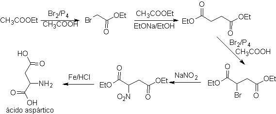 synthesis_of_asprtic_acidob.png