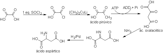 synthesis_of_asprtic_acid.png