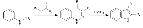fischer indole synthesis 01