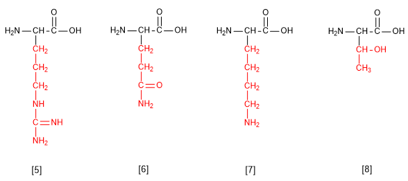 asam amino esensial 02