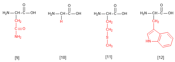 asam amino esensial 03
