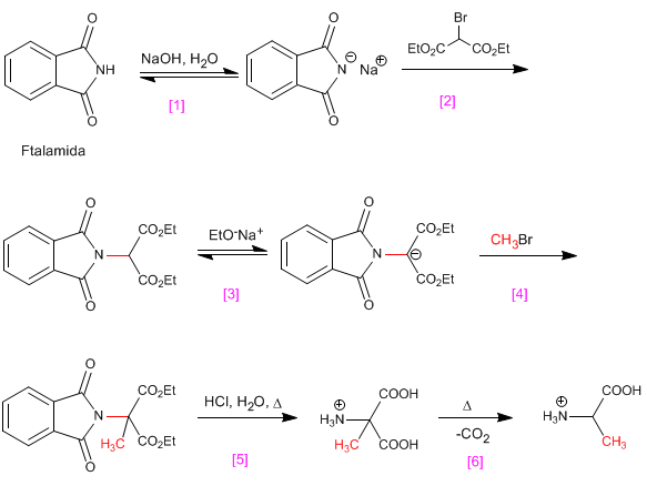 sintesis-aminoacidos-gabriel