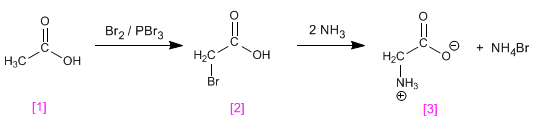 sintesis-aminoacidos-hvz