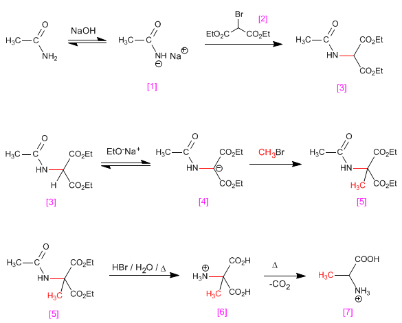 sintesis-aminoacidos-malonica