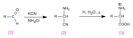 synthesis-amino acids-strecker