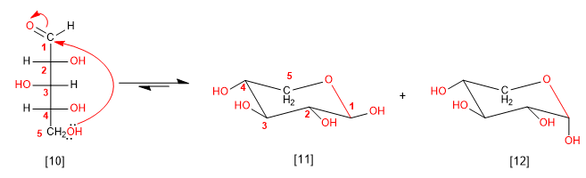 arabinopyranose formation