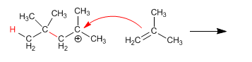 polymerization of alkenes