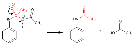 proteccion-amino06