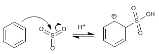 sulfonation-benzene02.png