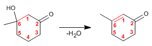 aldolica-intramolecular05.gif