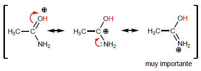 basicity-of-derivatives-of-carboxylic-acids-03