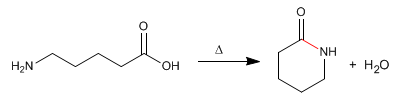 lactam-synthesis
