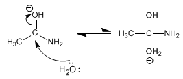 hidrolisis-acida