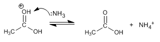 acid-hydrolysis