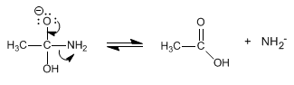 hydrolysis-basic-amides