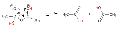 anhydrides-hydrolysis