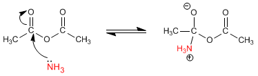 anhidridos-reaccion-aminas