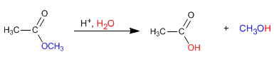 hydrolysis-acid-esters