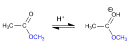 hidrolisis-acida-esteres