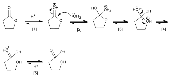 hydrolysis-lactones