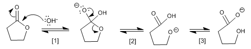 hydrolysis-lactones