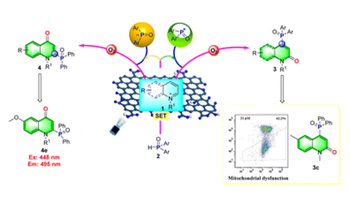 Site selective difunctionalization azaarenes 01