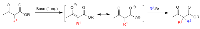 acetylacetic synthesis 02